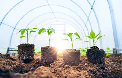 Installing Windows on a Server